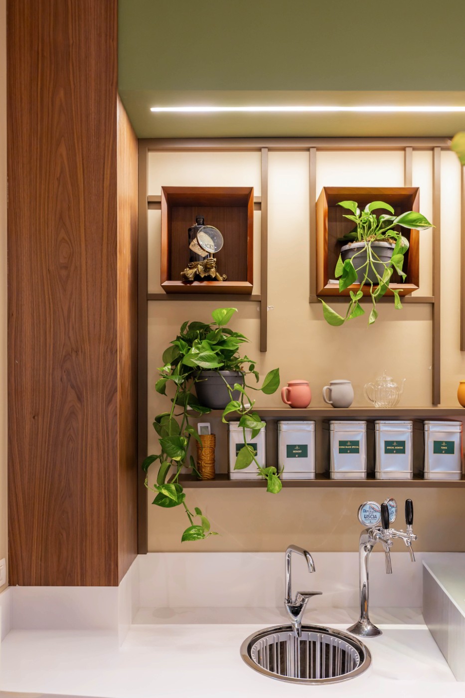Parete interna con mensole, piante e tazze decorative